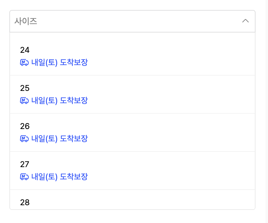 사이즈 옵션 Select UI